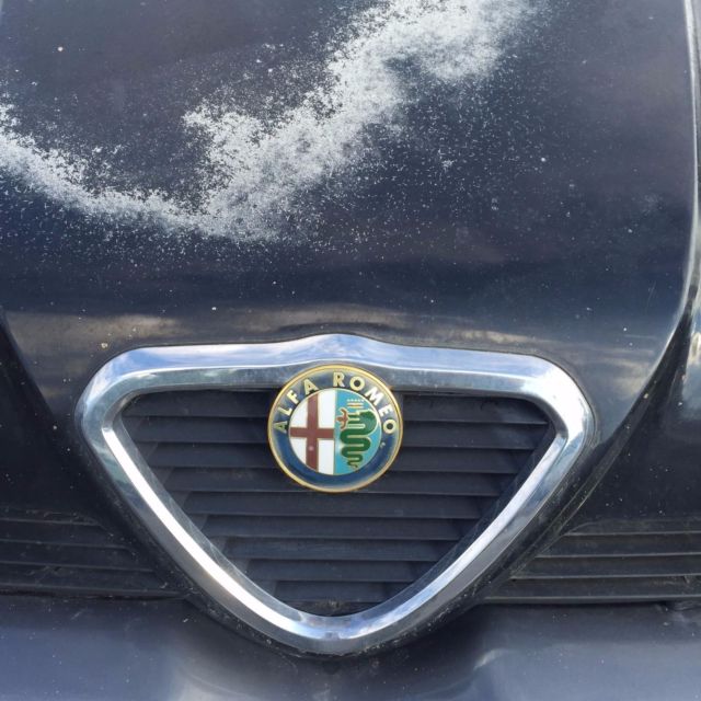 1993 Alfa Romeo Other LS - photo 8