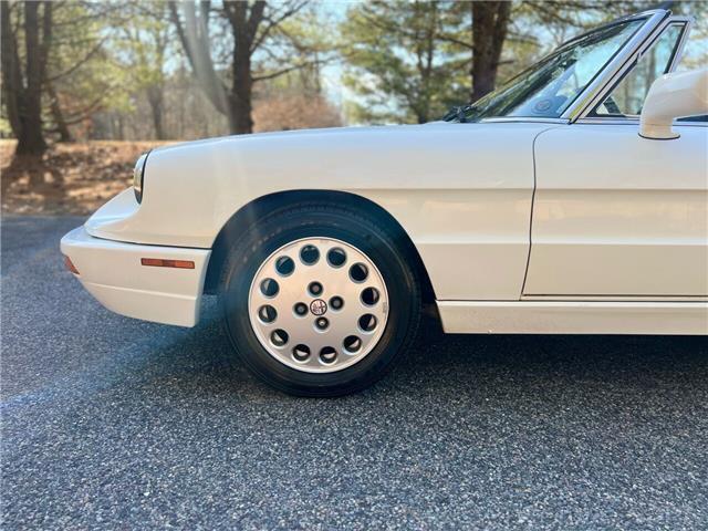 1993 Alfa Romeo Spider Veloce - photo 13