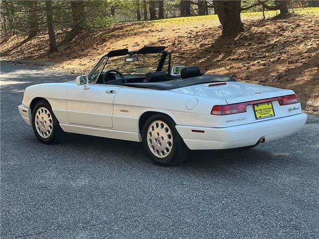 1993 Alfa Romeo Spider Veloce - photo 4