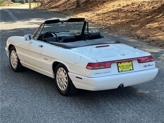 1993 Alfa Romeo Spider Veloce - photo 5