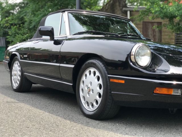1993 Alfa Romeo Spider Veloce - photo 12