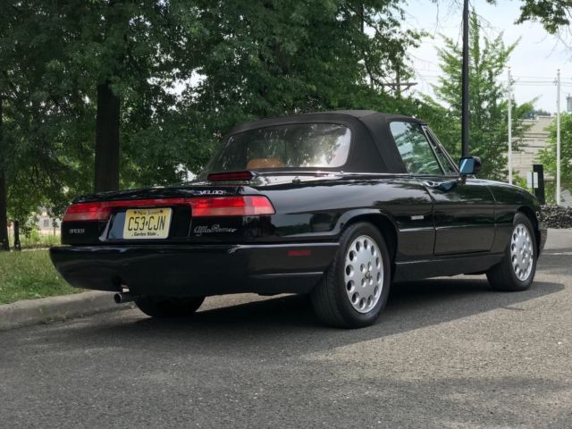 1993 Alfa Romeo Spider Veloce - photo 8