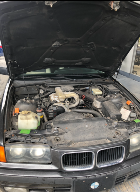 1993 BMW 3-Series - photo 10