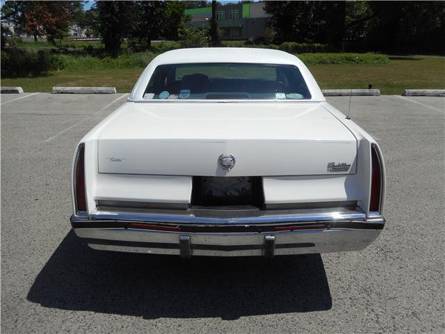 1993 Cadillac Fleetwood LINCOLN TOWN CAR MERCURY GRAND MARQUIS - photo 5