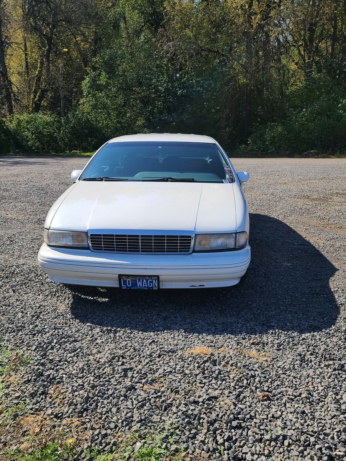 1993 Chevrolet Caprice wagon - photo 2