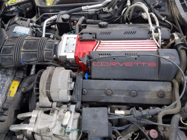 1993 Chevrolet Corvette 40th anniversary - photo 10