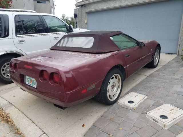 1993 Chevrolet Corvette Conv. - photo 3