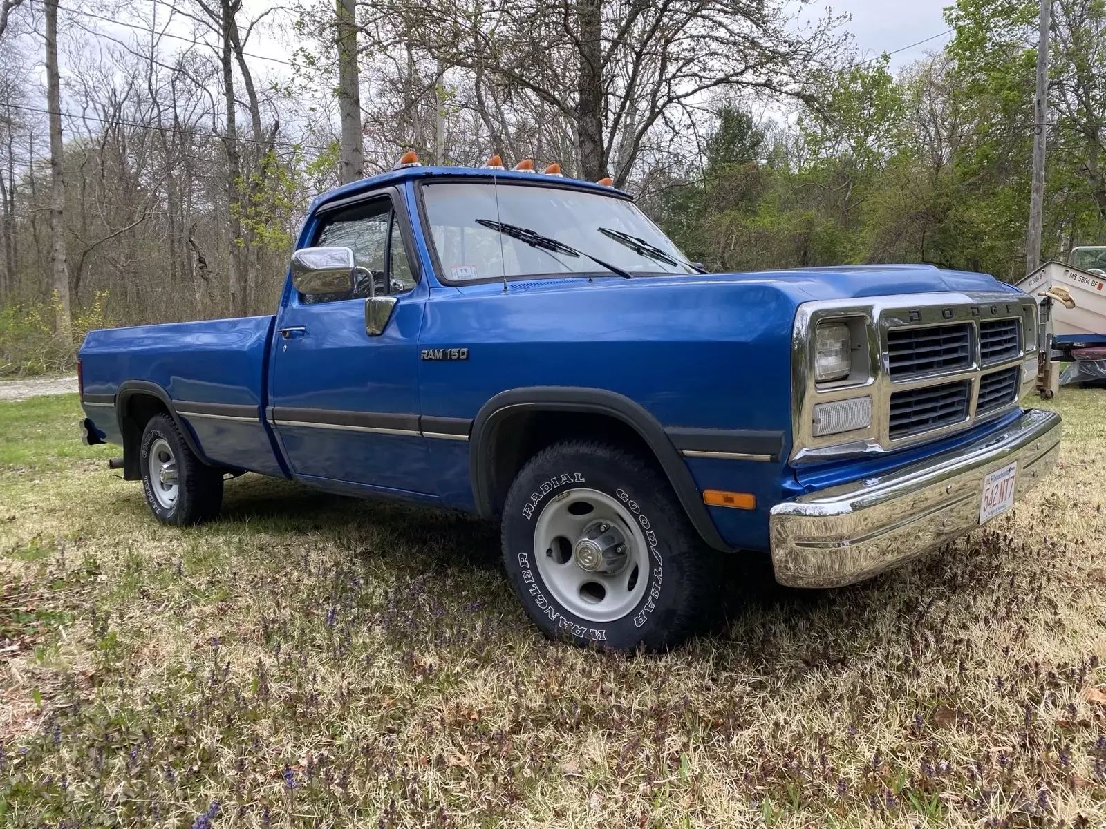 1993 Dodge D-Series D150 - photo 3