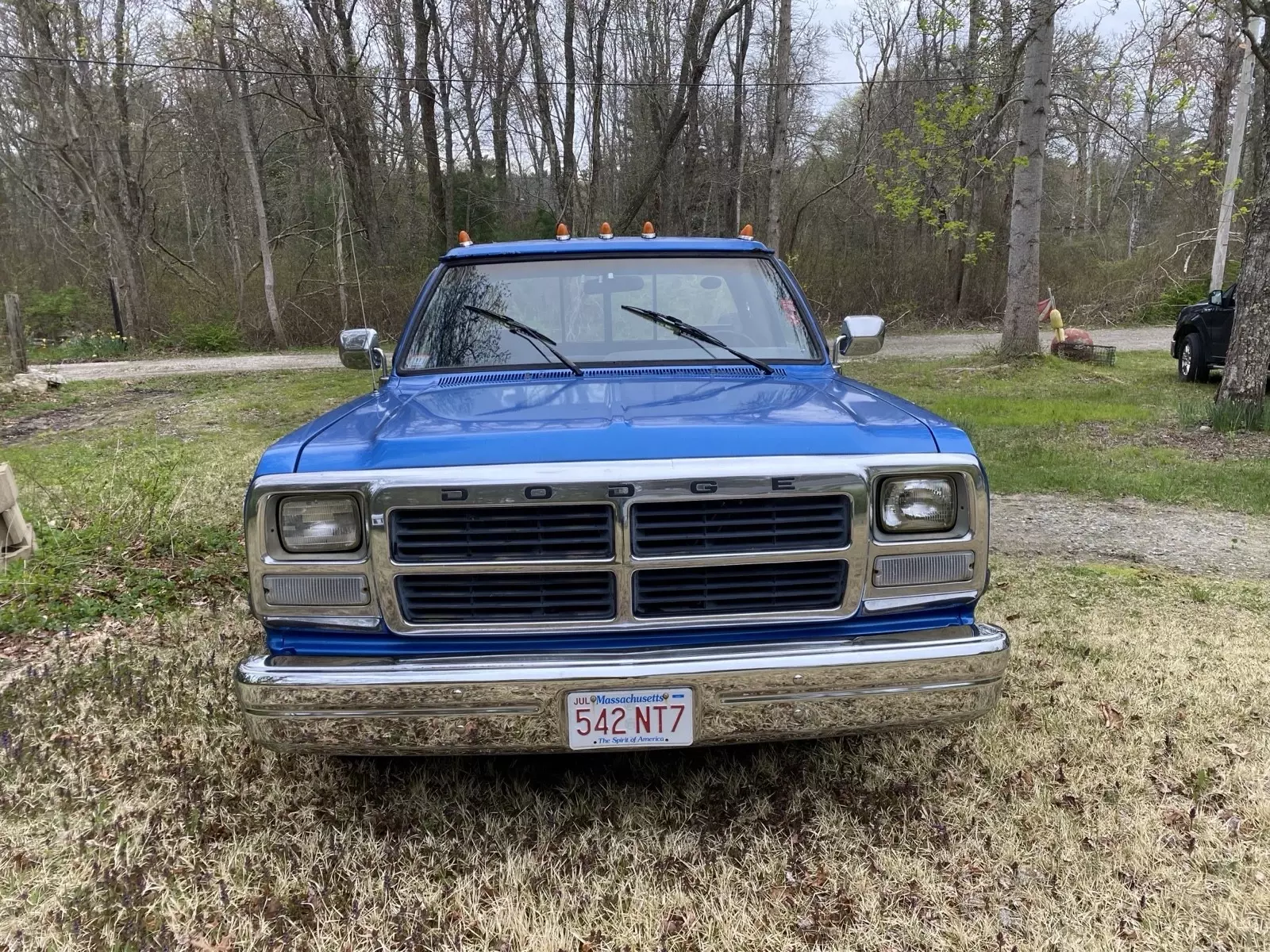 1993 Dodge D-Series D150 - photo 4