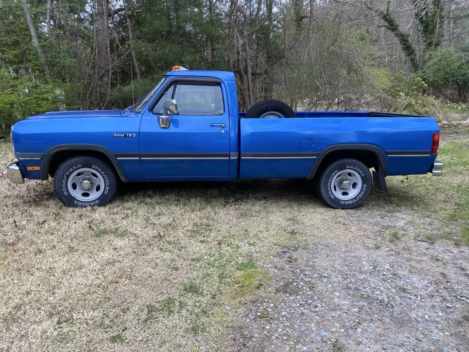 1993 Dodge D-Series D150 - photo 9