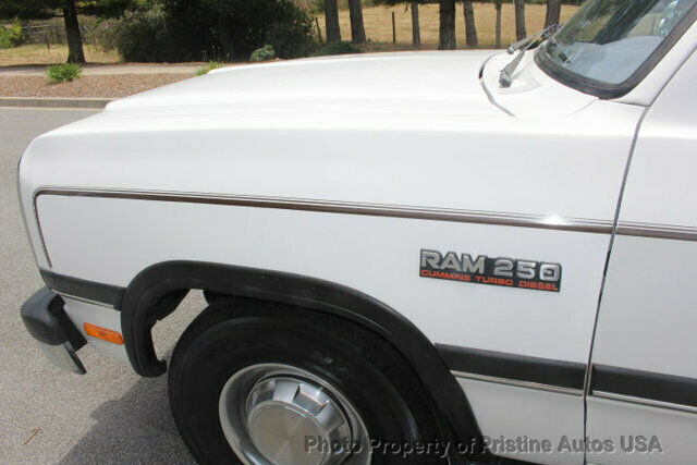 1993 Dodge Other Pickups Club Cab 149" WB - photo 10