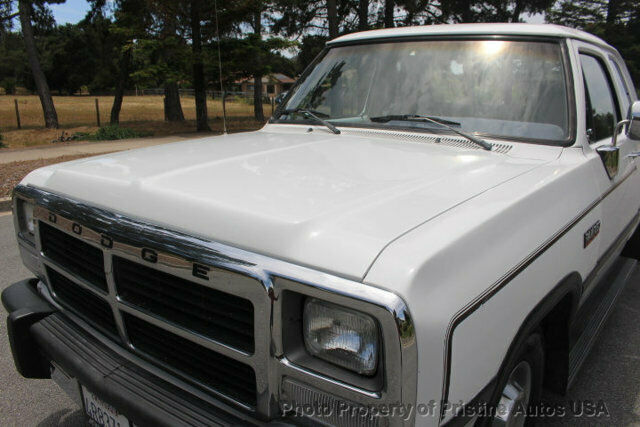 1993 Dodge Other Pickups Club Cab 149" WB - photo 11