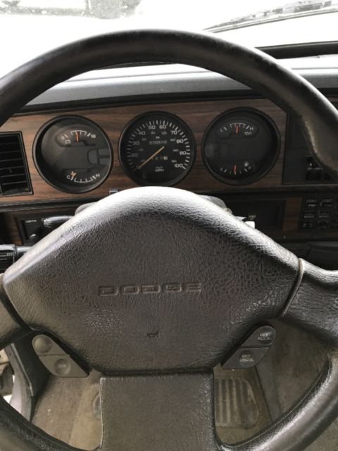 1993 Dodge Other Pickups - photo 13