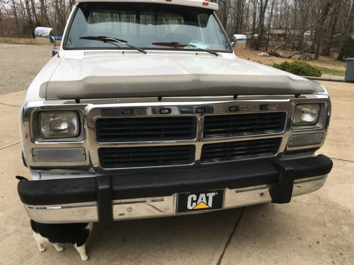 1993 Dodge Ram 2500 D250 LE - photo 2