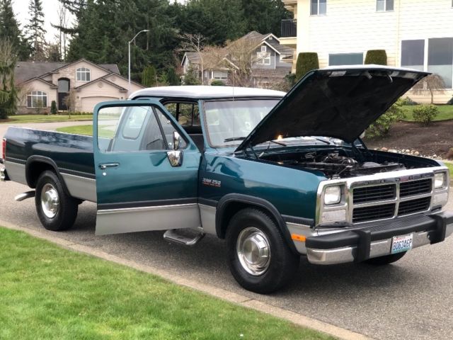 1993 Dodge Other Pickups LE - photo 10