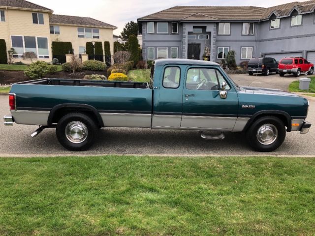 1993 Dodge Other Pickups LE - photo 6