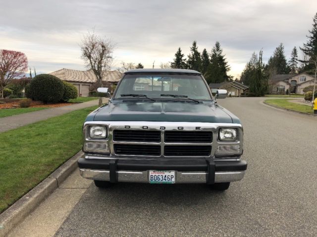 1993 Dodge Other Pickups LE - photo 8