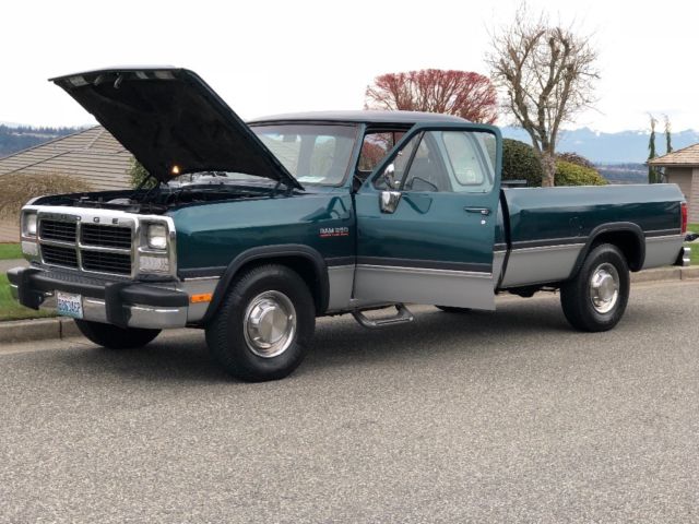 1993 Dodge Other Pickups LE - photo 9