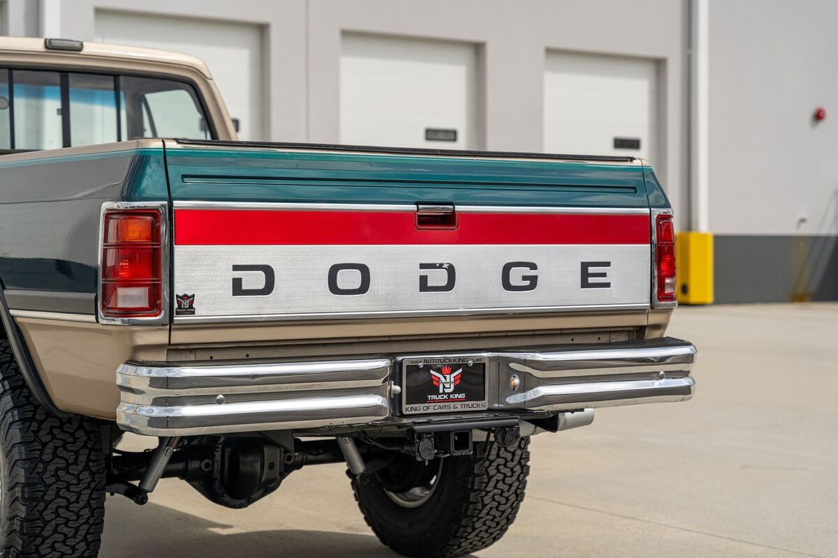 1993 Dodge D250 & W250 Sweptline 131" WB 4WD - photo 13