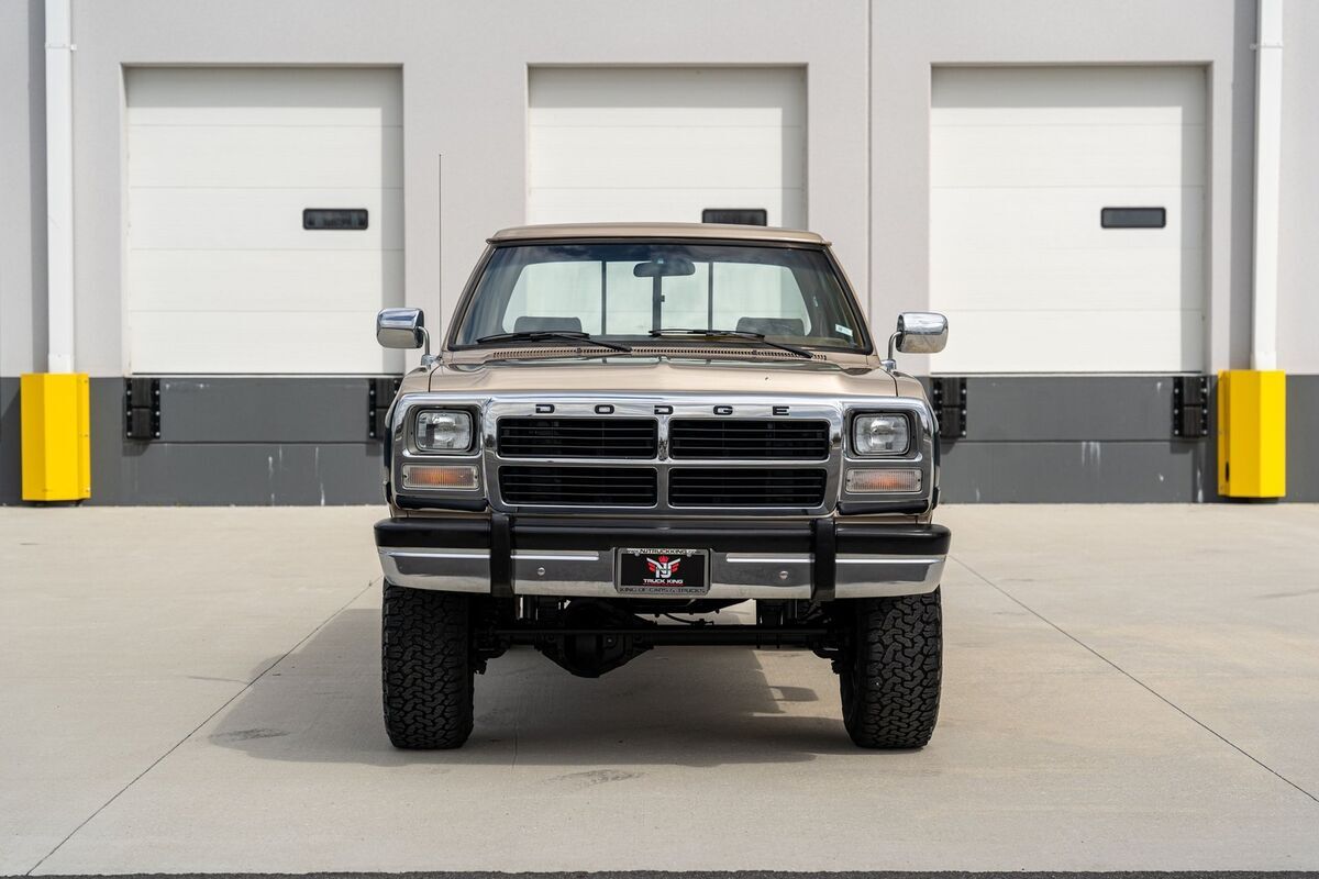 1993 Dodge D250 & W250 Sweptline 131" WB 4WD - photo 2