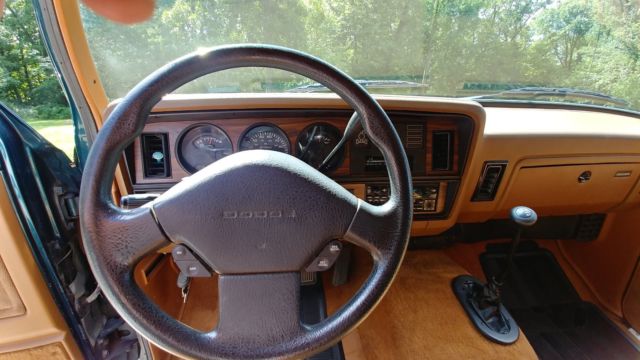 1993 Dodge Ramcharger Canyon Sport - photo 7