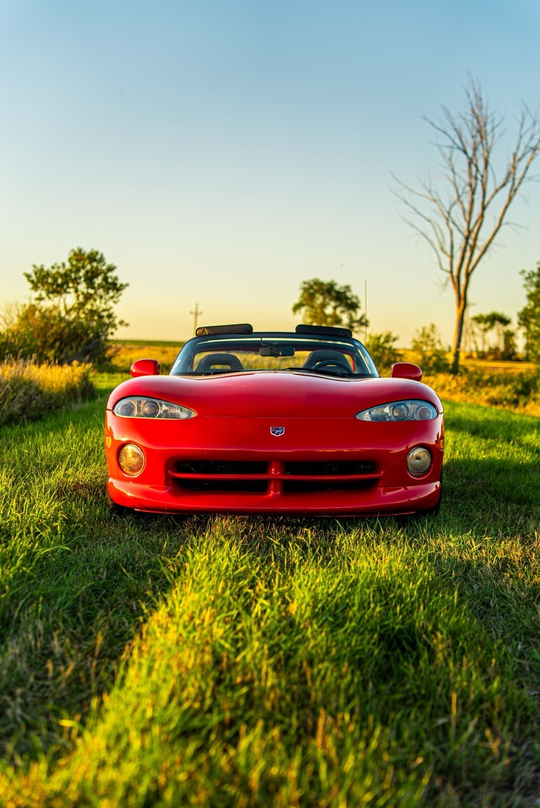 1993 Dodge Viper RT-10 - photo 4