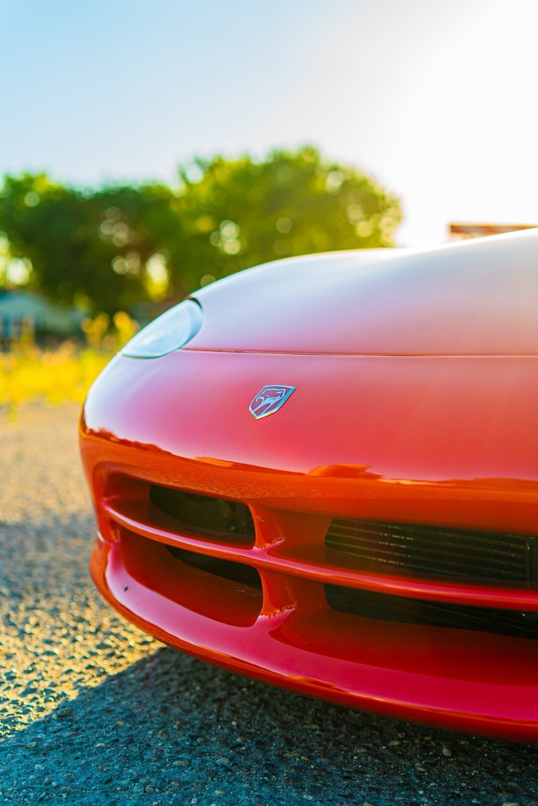 1993 Dodge Viper RT-10 - photo 7