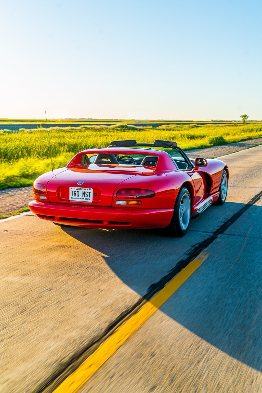 1993 Dodge Viper RT-10 - photo 8