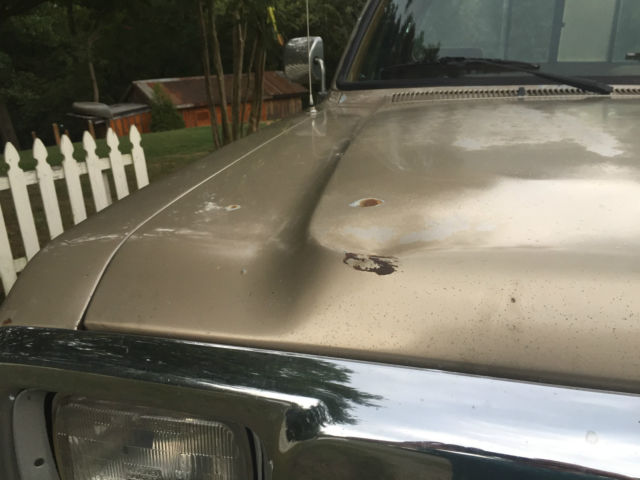 1993 Dodge Other Pickups LE - photo 4