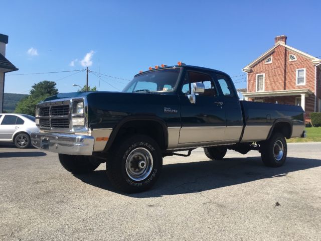 1993 Dodge Other Pickups LE - photo 2