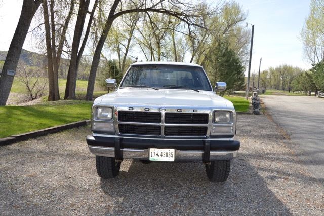 1993 Dodge Other Pickups LE - photo 3