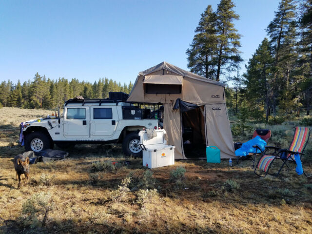 1993 Hummer H1 - photo 6
