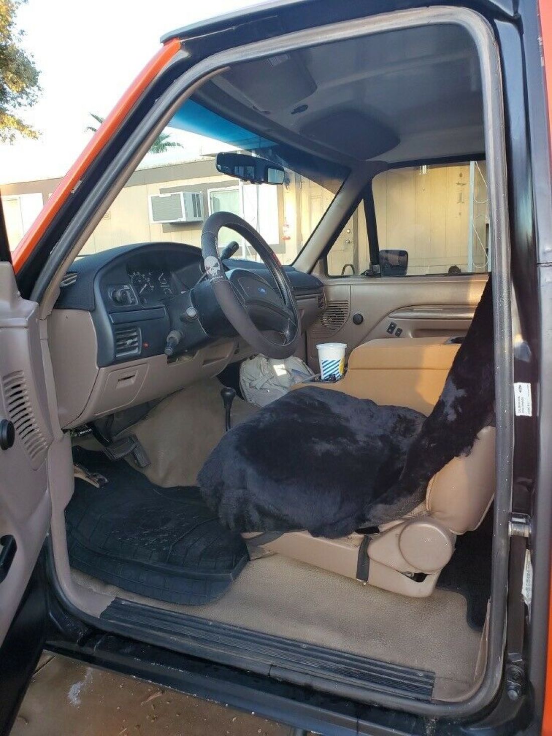 1993 Ford Bronco U100 - photo 5