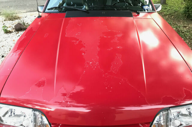 1993 Ford Mustang - photo 10