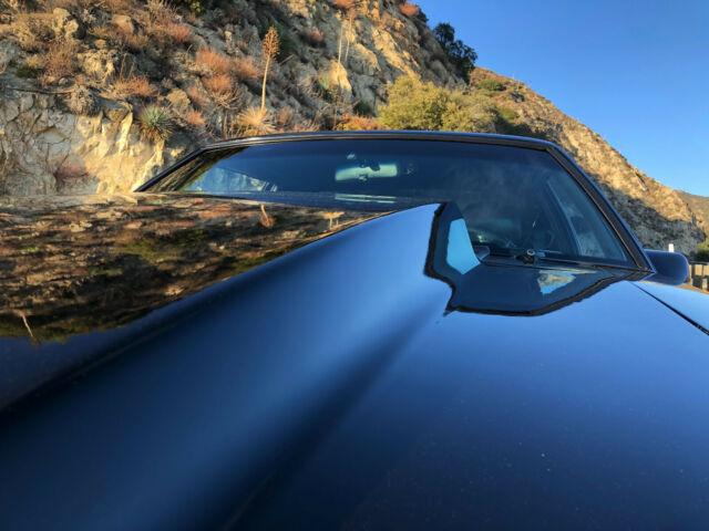 1993 Ford Mustang Terminator Cobra Coupe - photo 10