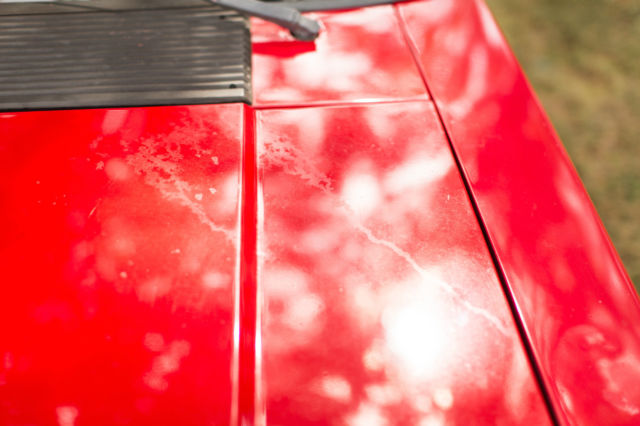 1993 Ford Mustang LX - photo 8