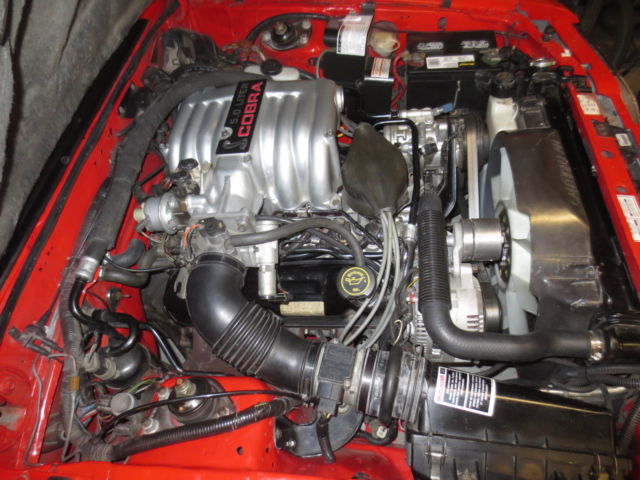 1993 Ford Mustang SVT Cobra - photo 7