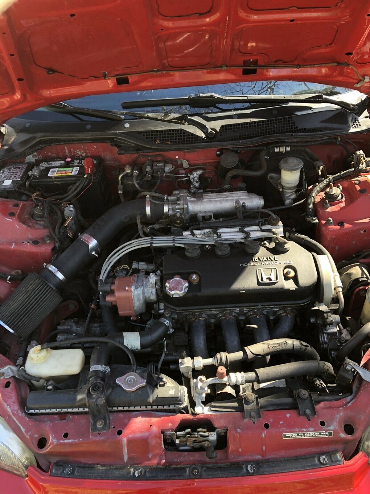 1993 Honda Civic DX - photo 11