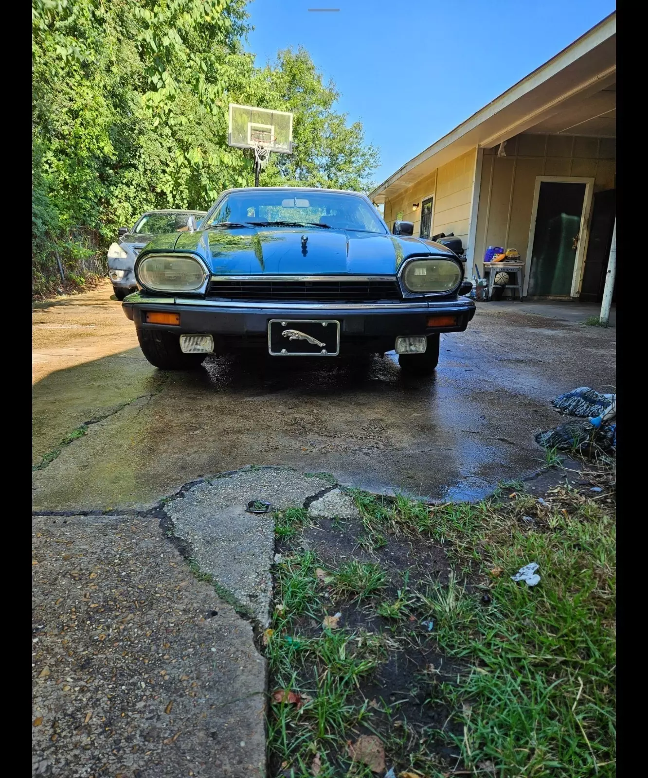 1993 Jaguar XJS - photo 2