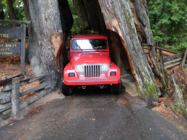 1993 JEEP WRANGLER RENEGADE 2 DR SPORT 1993 Jeep Wrangler