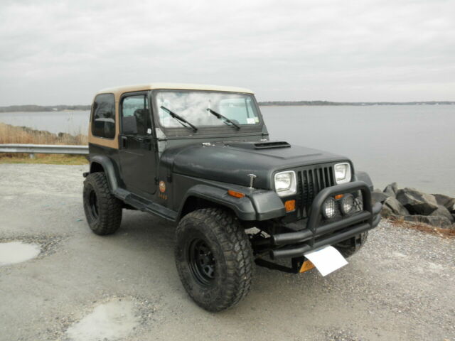 1993 Jeep Wrangler Sahara - photo 4