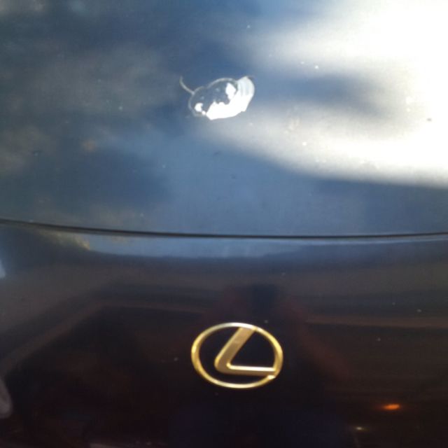 1993 Lexus SC - photo 7