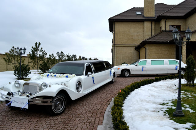 1993 Lincoln Town Car Executive Limousine 4-Door - photo 2