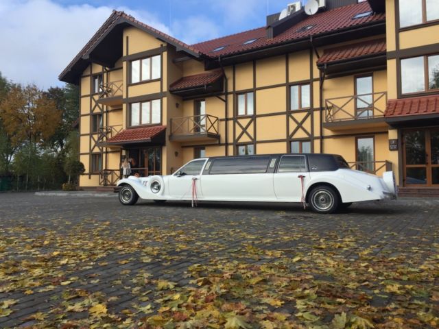 1993 Lincoln Town Car Executive Limousine 4-Door - photo 5