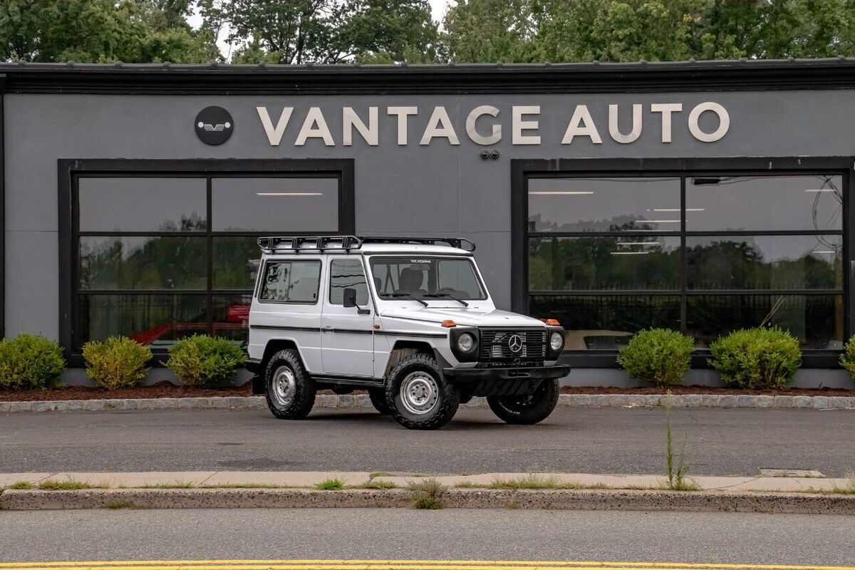 1993 Mercedes-Benz G-Class 290GD - photo 3