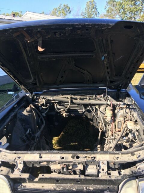 1993 Ford Mustang - photo 11
