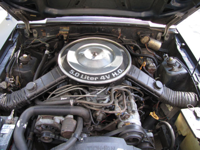 1983 Ford Mustang - photo 2
