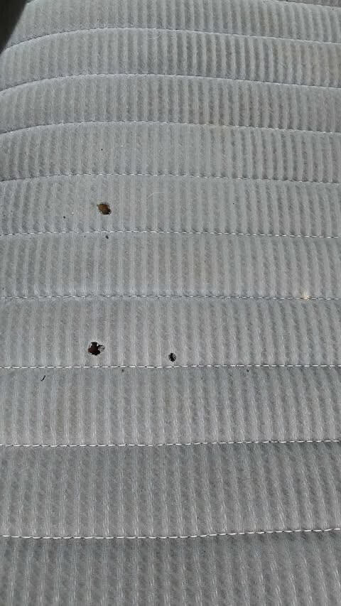 1993 Nissan 1/2 Ton Pickup - photo 9