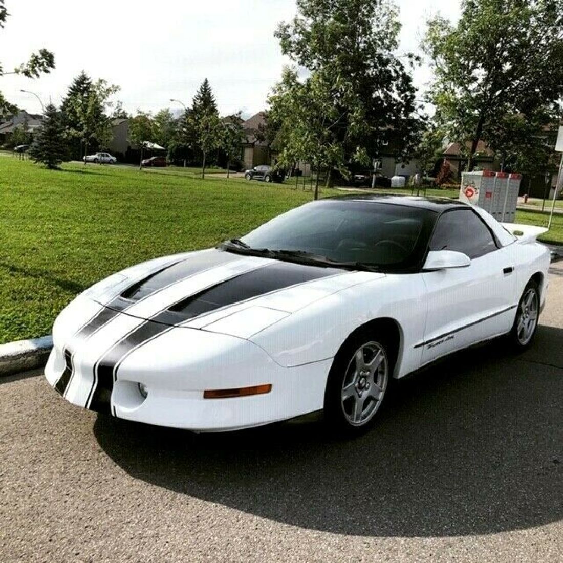 1993 Pontaic Trans Am FireBird 5.7 L 1993 Pontiac Trans Am