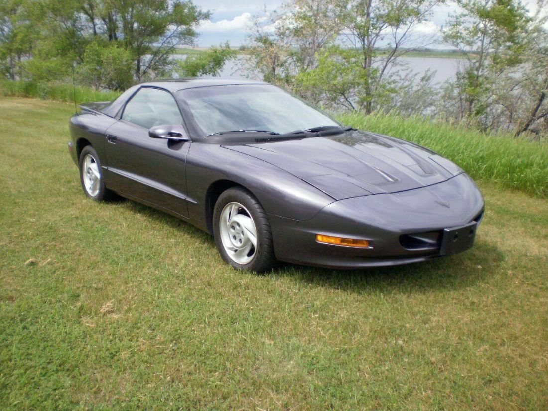 1993 Pontiac Firebird Trans Am 2dr Hatchback - photo 2